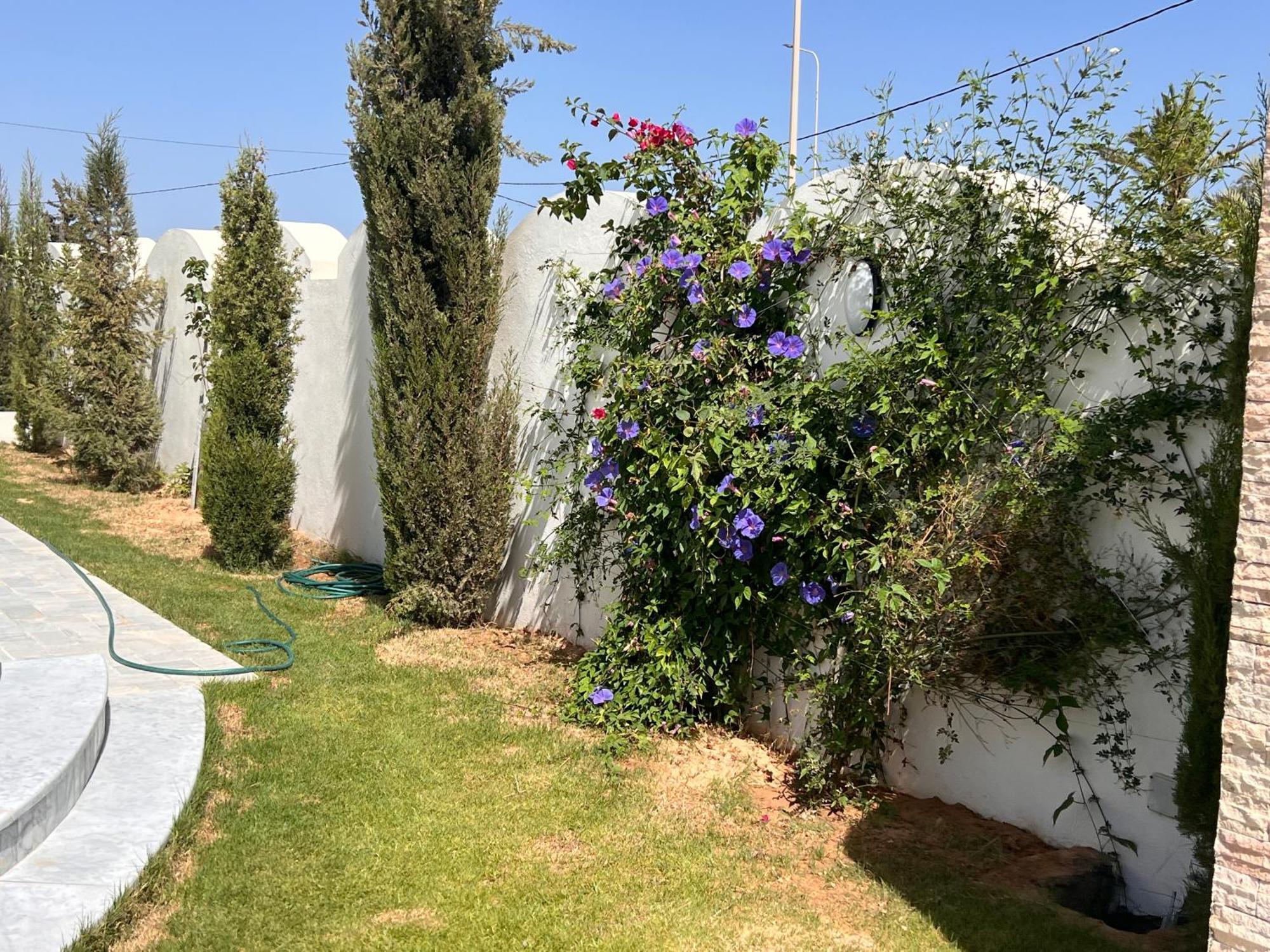 Villalina Haut Standing Djerba Ajim Exterior foto